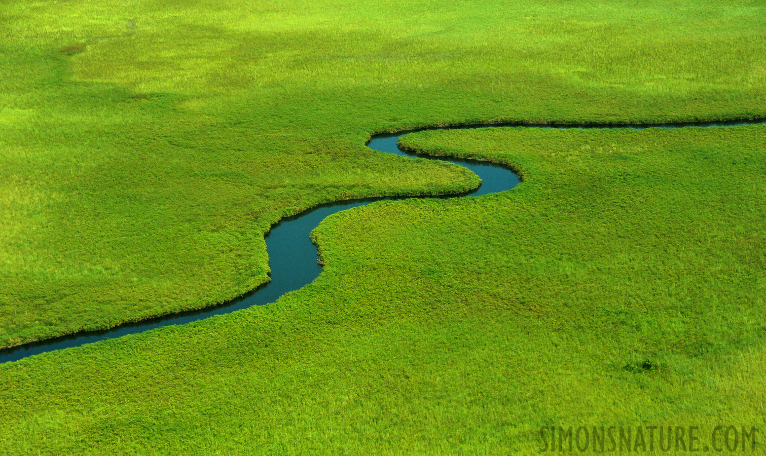 Okavango Delta May 2014 [100 mm, 1/3200 sec at f / 8.0, ISO 2500]
